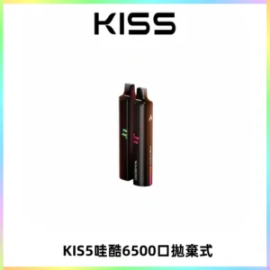 KIS5WAGOO哇酷6500口拋棄式 | 自由混搭雙口味 | 雙芯組合